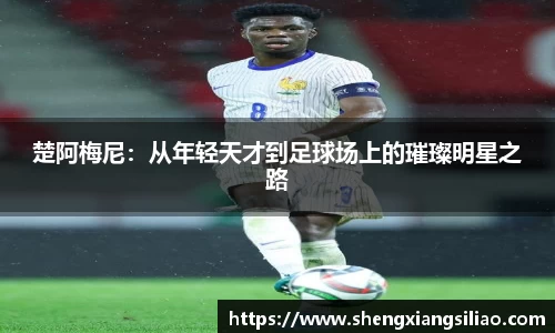 zoty中欧