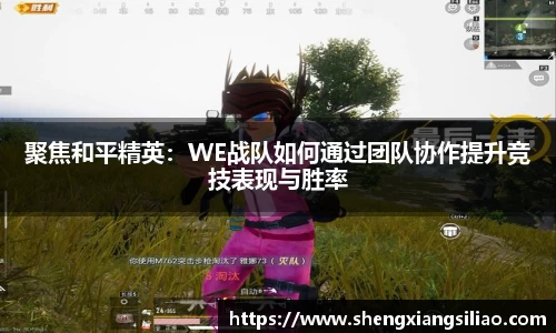 聚焦和平精英：WE战队如何通过团队协作提升竞技表现与胜率